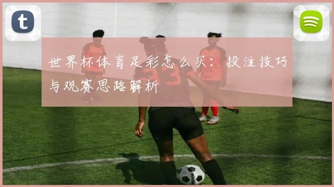 世界杯体育足彩怎么买：投注技巧与观赛思路解析