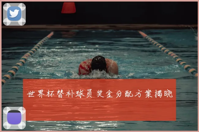 世界杯替补球员奖金分配方案揭晓