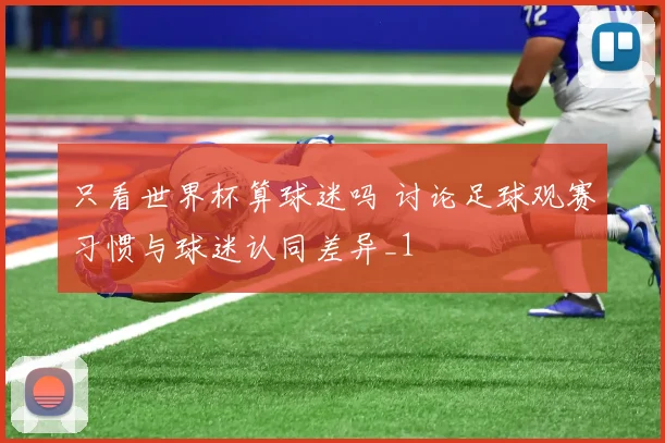 只看世界杯算球迷吗 讨论足球观赛习惯与球迷认同差异_1
