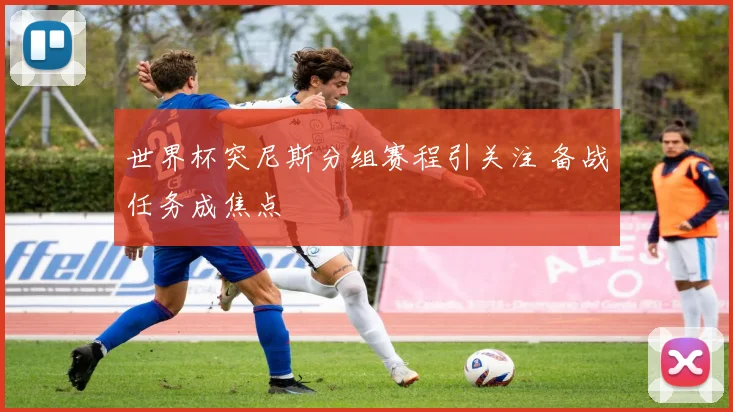 世界杯突尼斯分组赛程引关注 备战任务成焦点