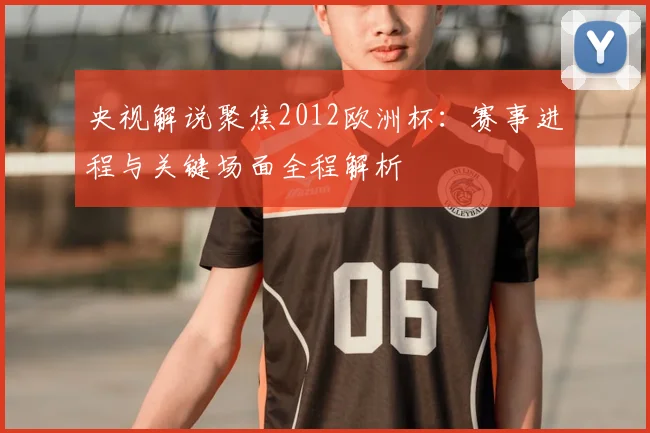 央视解说聚焦2012欧洲杯:赛事进程与关键场面全程解析