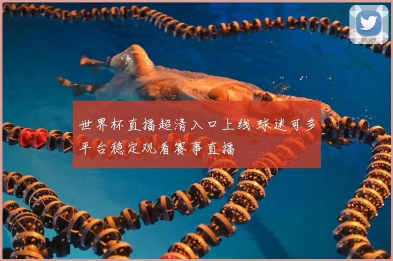 世界杯直播超清入口上线 球迷可多平台稳定观看赛事直播